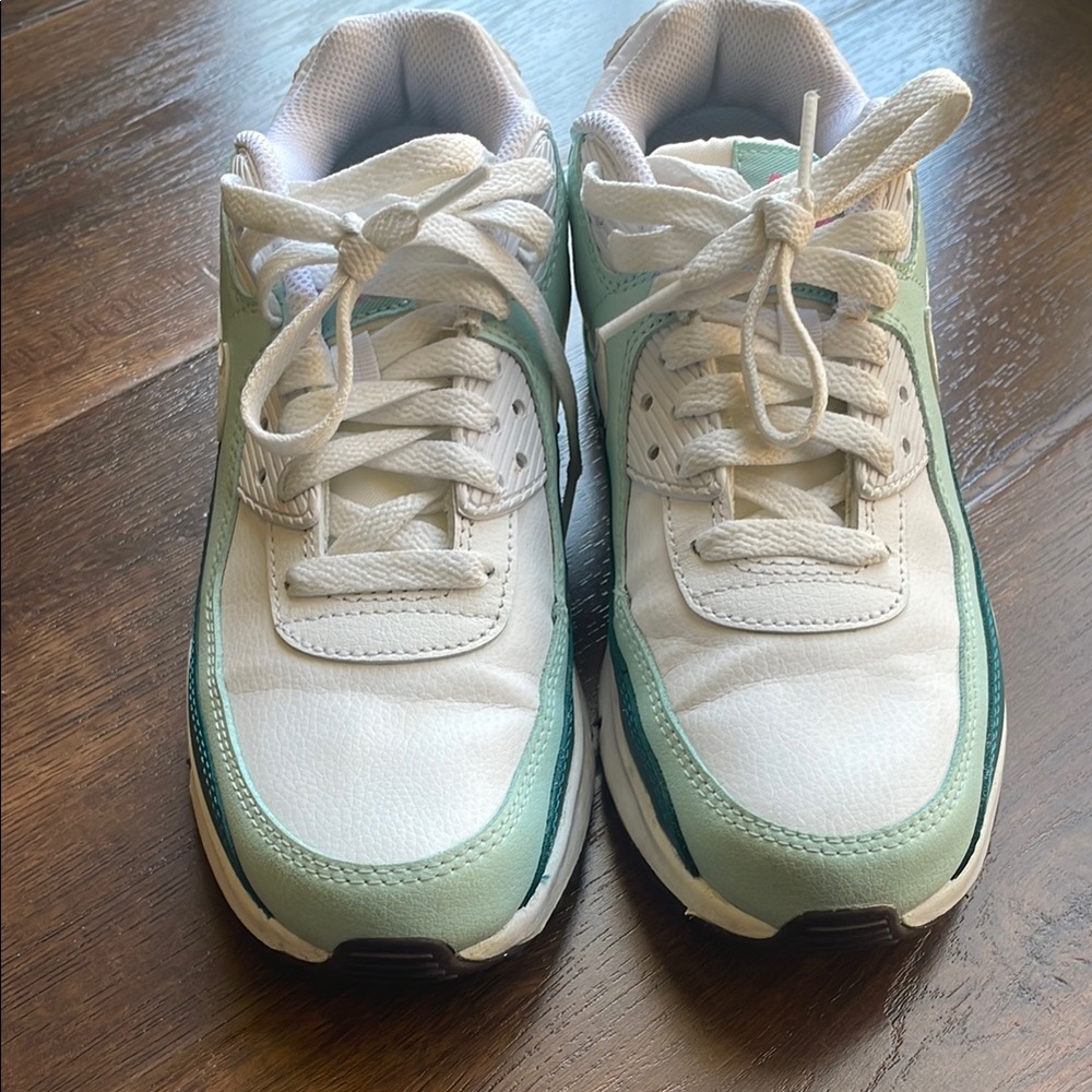 Nike Air Max